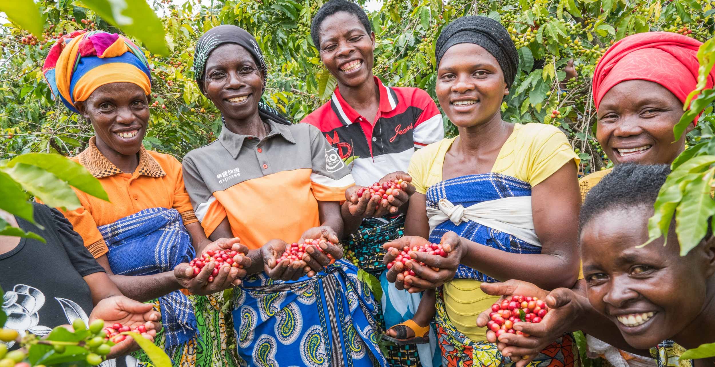 Women in Coffee