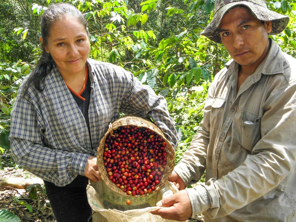 Aproeco, Peru