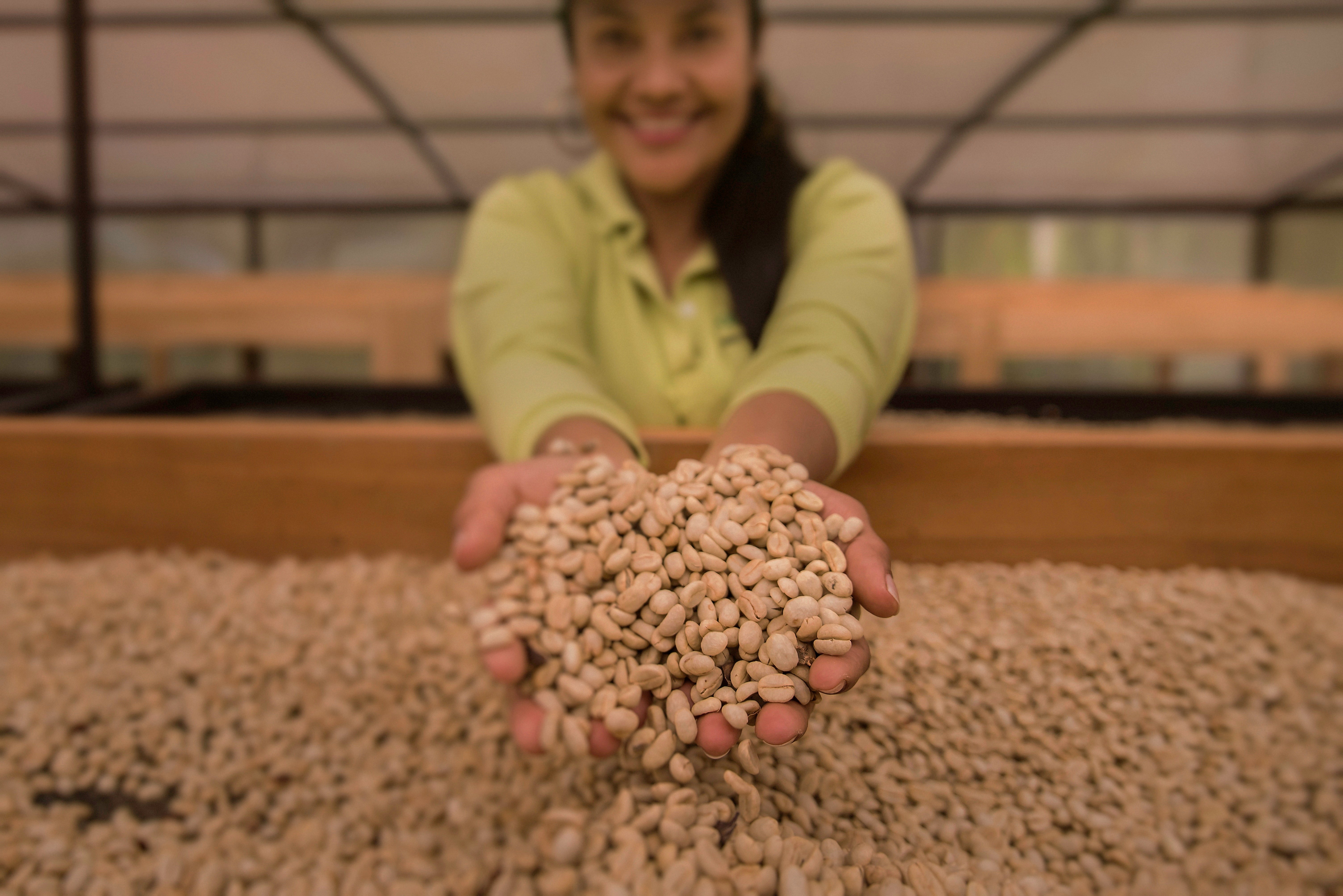 Lucía Álvarez, Coocentral, Colombia